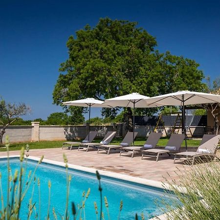Activity Villa Gita With Pool And Grill In Tinjan Exteriör bild